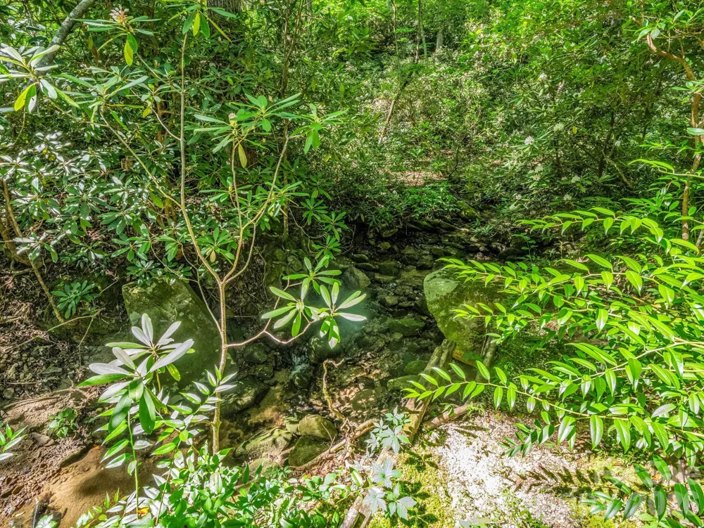 141 Hemlock Lane #3 Lake Lure, NC 28746