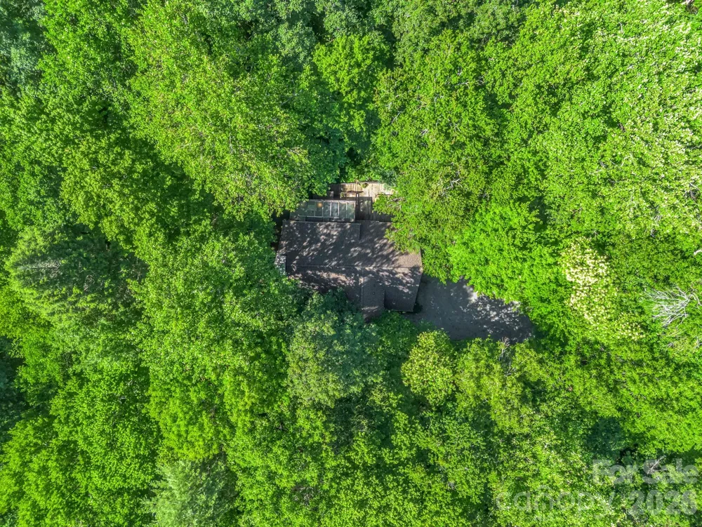 141 Hemlock Lane #3 Lake Lure, NC 28746