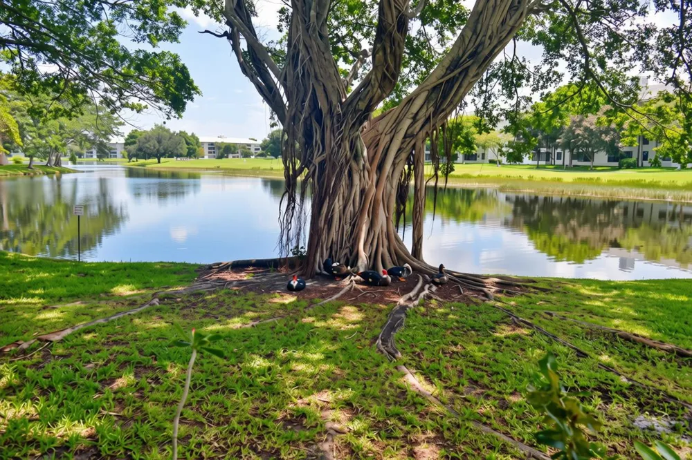 9311 Orange Grove Drive #109 Davie, FL 33324