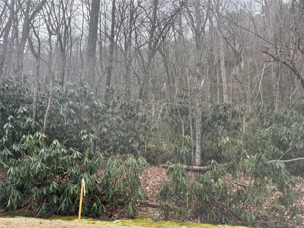 23/24 Old Wagon Trail Highlands, NC 28741