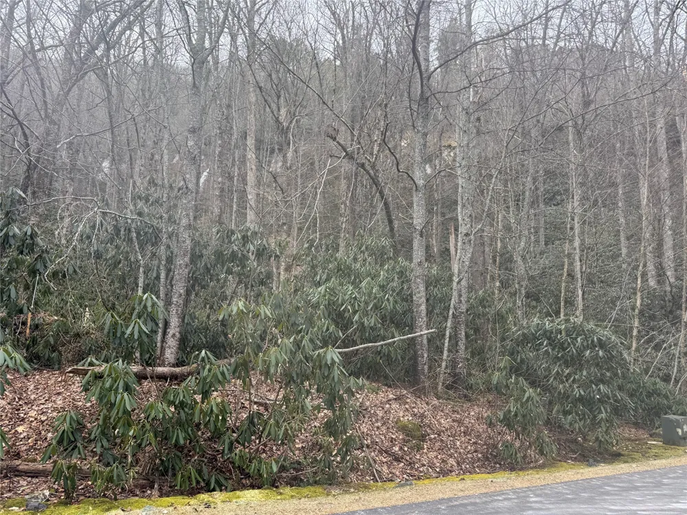 23/24 Old Wagon Trail Highlands, NC 28741