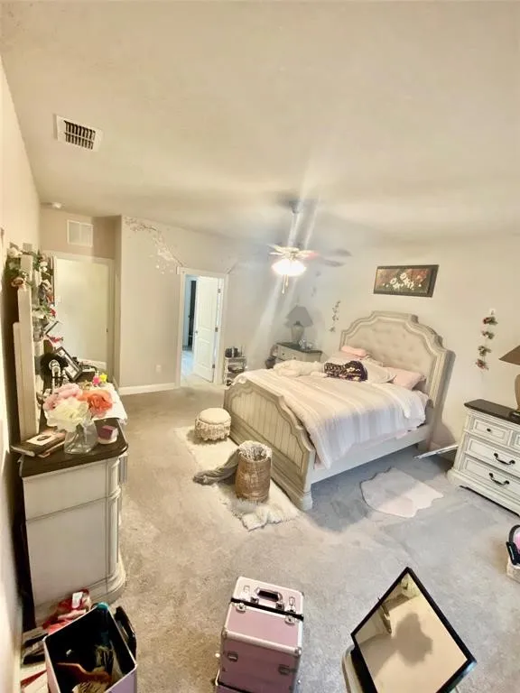13621 Mariscan Street Manchaca, TX 78652