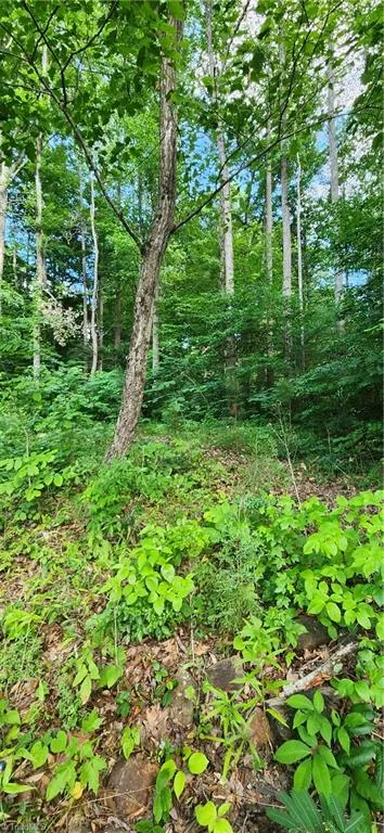 1966 South Lake Drive Asheboro, NC 27205