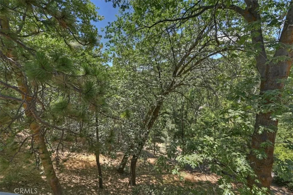 27809 North Bay Lake Arrowhead, CA 92352