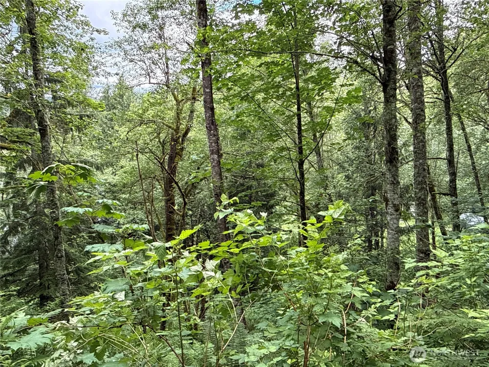 376 XX E Lake Walker Drive SE Enumclaw, WA 98022