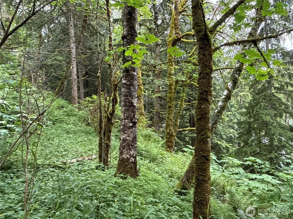 376 XX E Lake Walker Drive SE Enumclaw, WA 98022