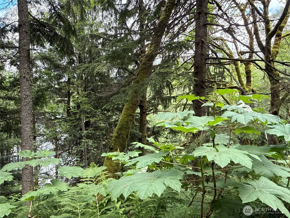 376 XX E Lake Walker Drive SE Enumclaw, WA 98022