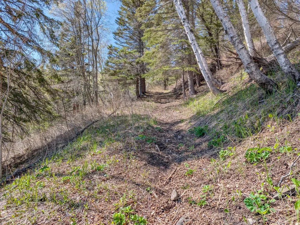 6076 Highway 61 Silver Bay, MN 55614