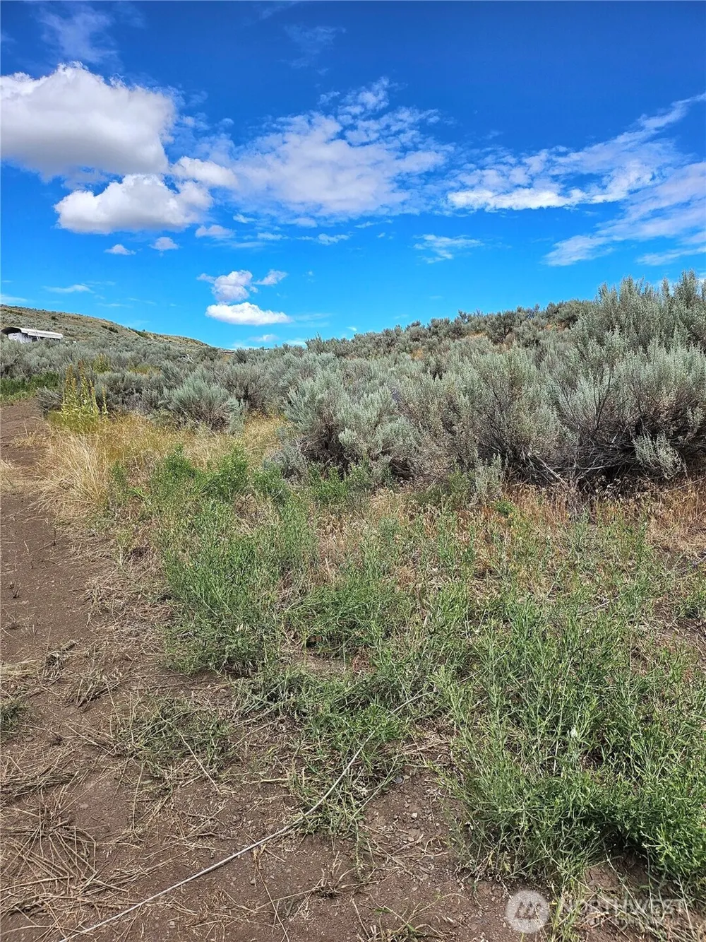 1 TBD Ping Road Oroville, WA 98844