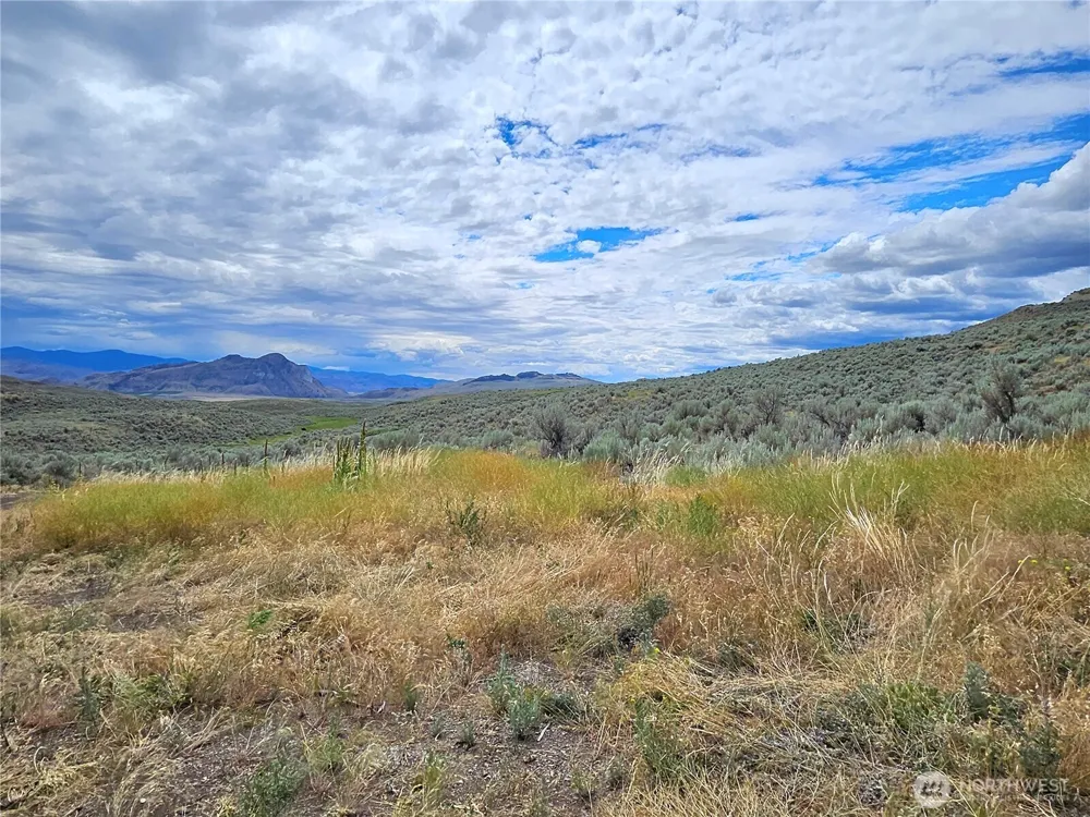 1 TBD Ping Road Oroville, WA 98844