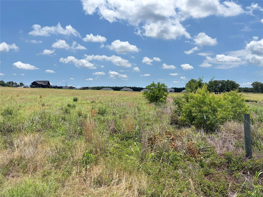 CR 4507 Athens, TX 75752