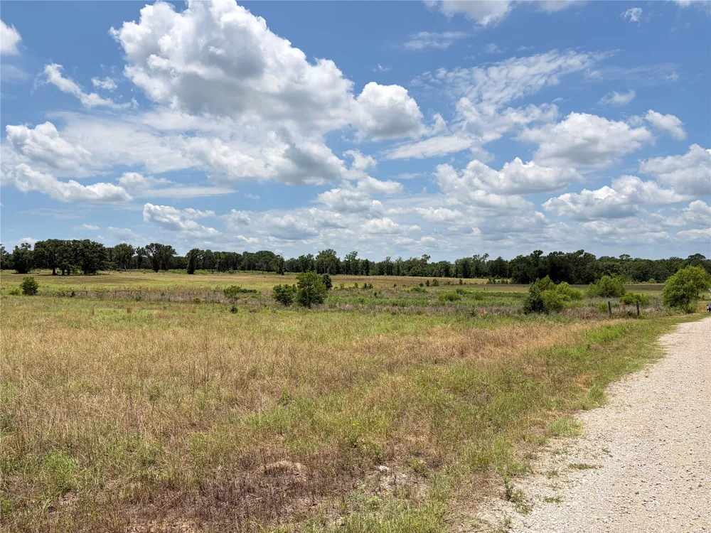 CR 4507 Athens, TX 75752