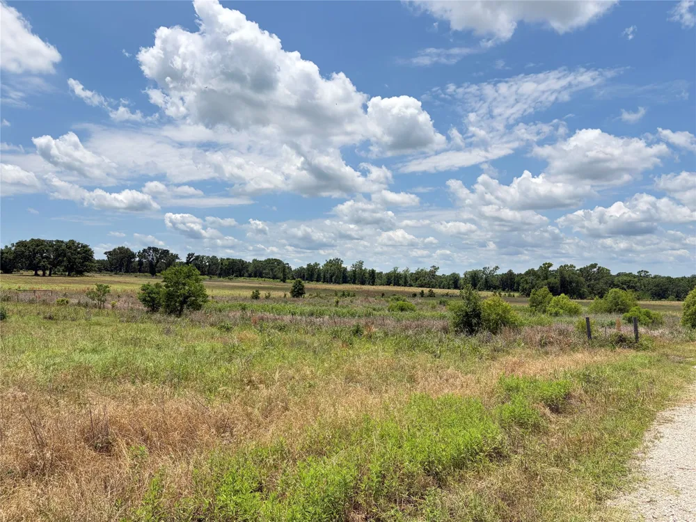 CR 4507 Athens, TX 75752