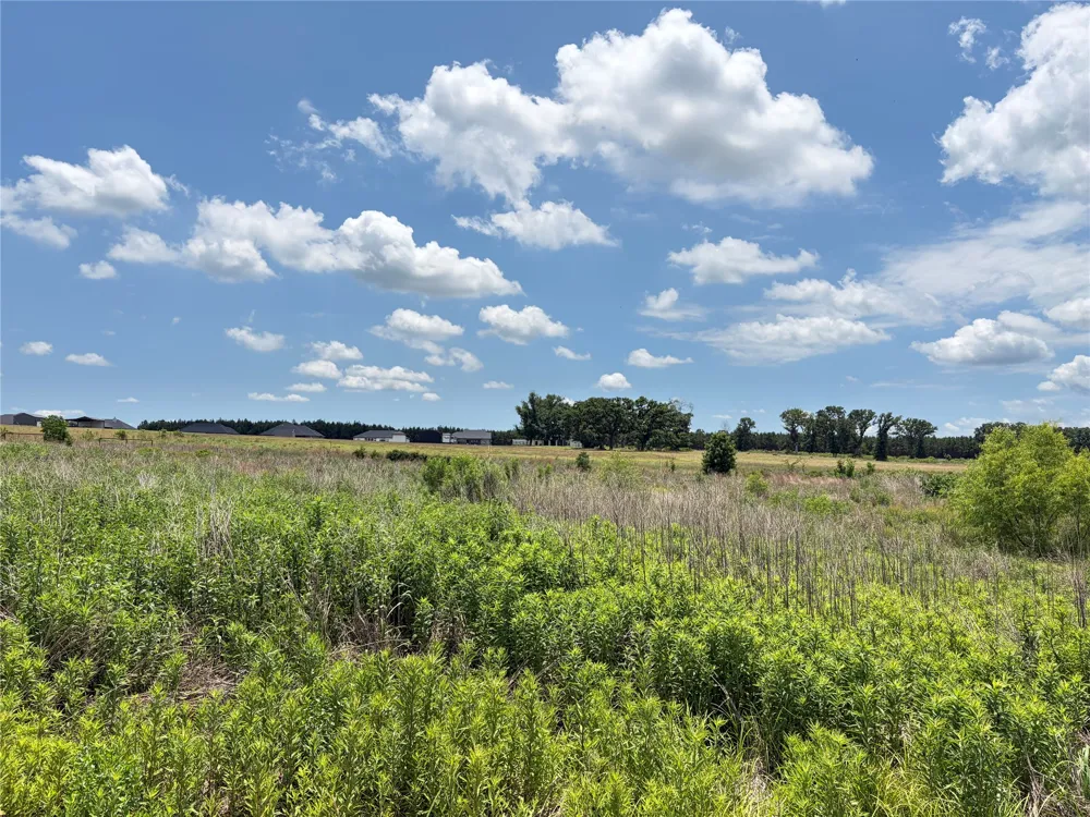 CR 4507 Athens, TX 75752