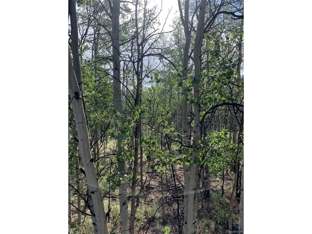 540 Vulture Lane Como, CO 80432