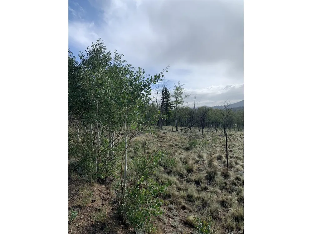 540 Vulture Lane Como, CO 80432