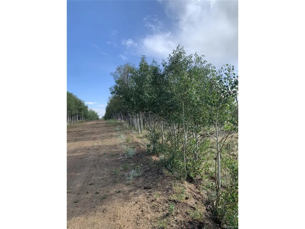 540 Vulture Lane Como, CO 80432