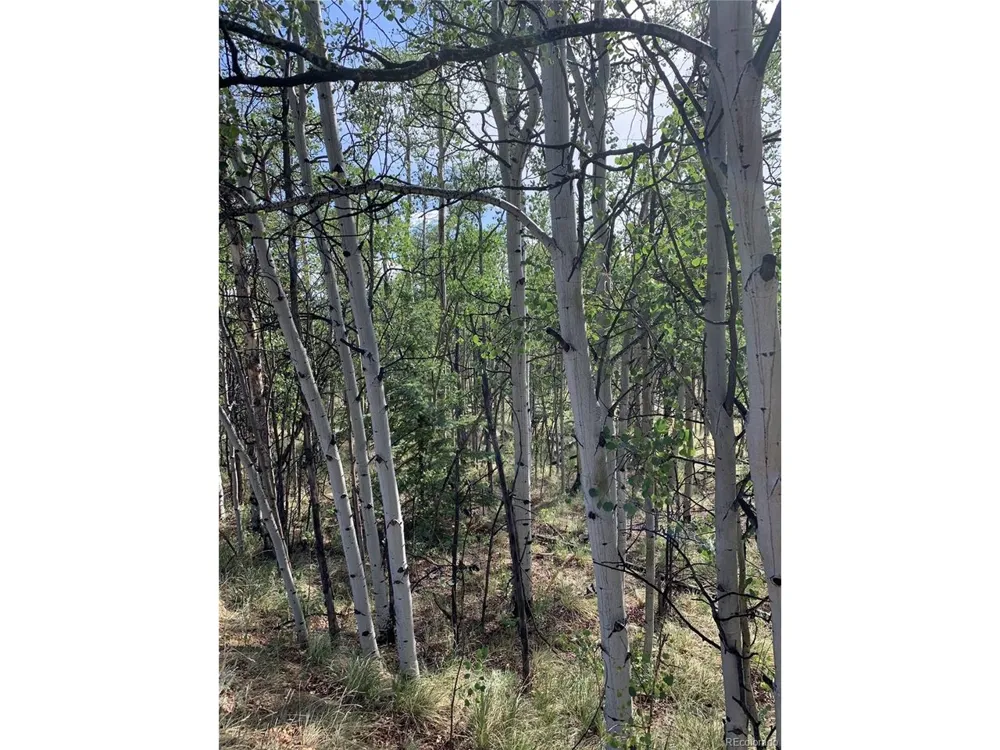540 Vulture Lane Como, CO 80432