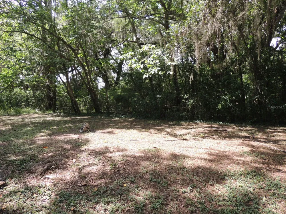1146 NE 2ND PLACE Williston, FL 32696