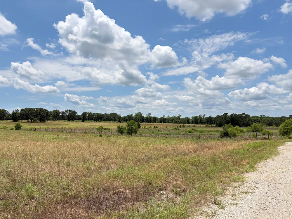 CR 4507 Athens, TX 75752