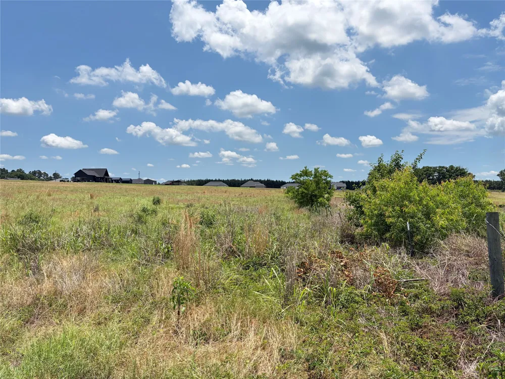 CR 4507 Athens, TX 75752