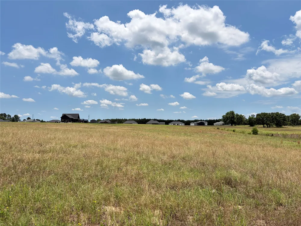 CR 4507 Athens, TX 75752