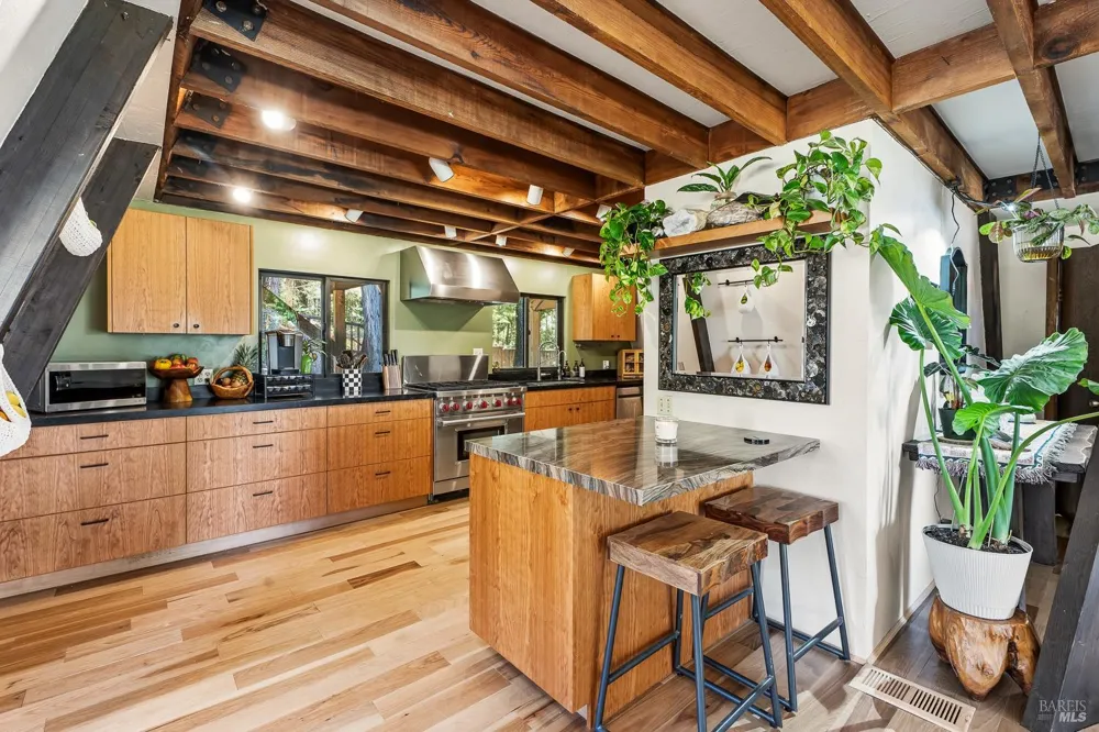43345 Brushy Ridge Loop Annapolis, CA 95412