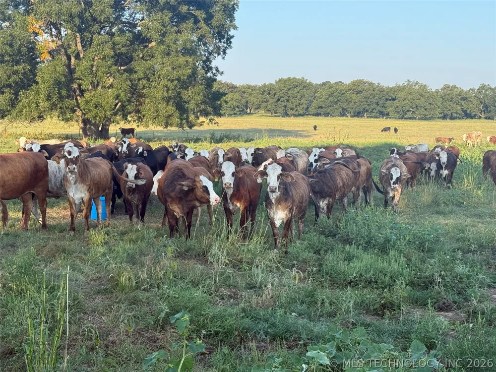 14716 Highway 77 Highway Paoli, OK 73074