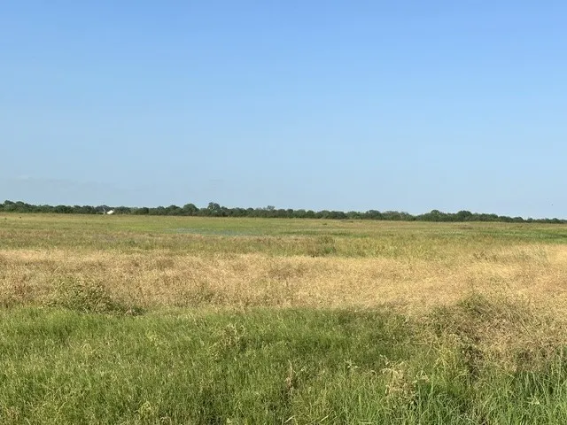 E Cr 2300 Riviera, TX 78379