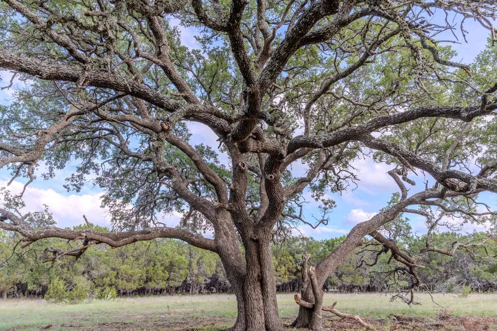 3 Bluestem Lane Lampasas, TX 76550