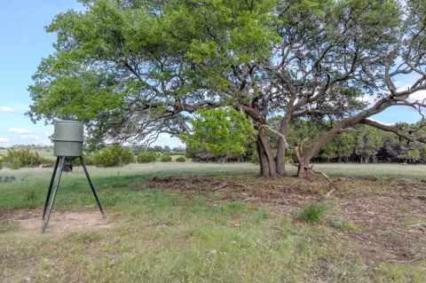 3 Bluestem Lane