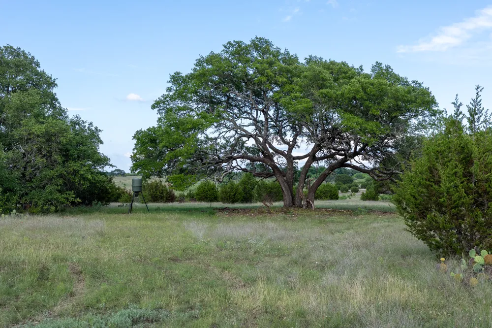 3 Bluestem Lane Lampasas, TX 76550