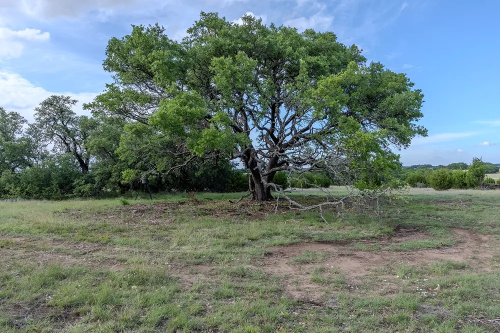 3 Bluestem Lane Lampasas, TX 76550