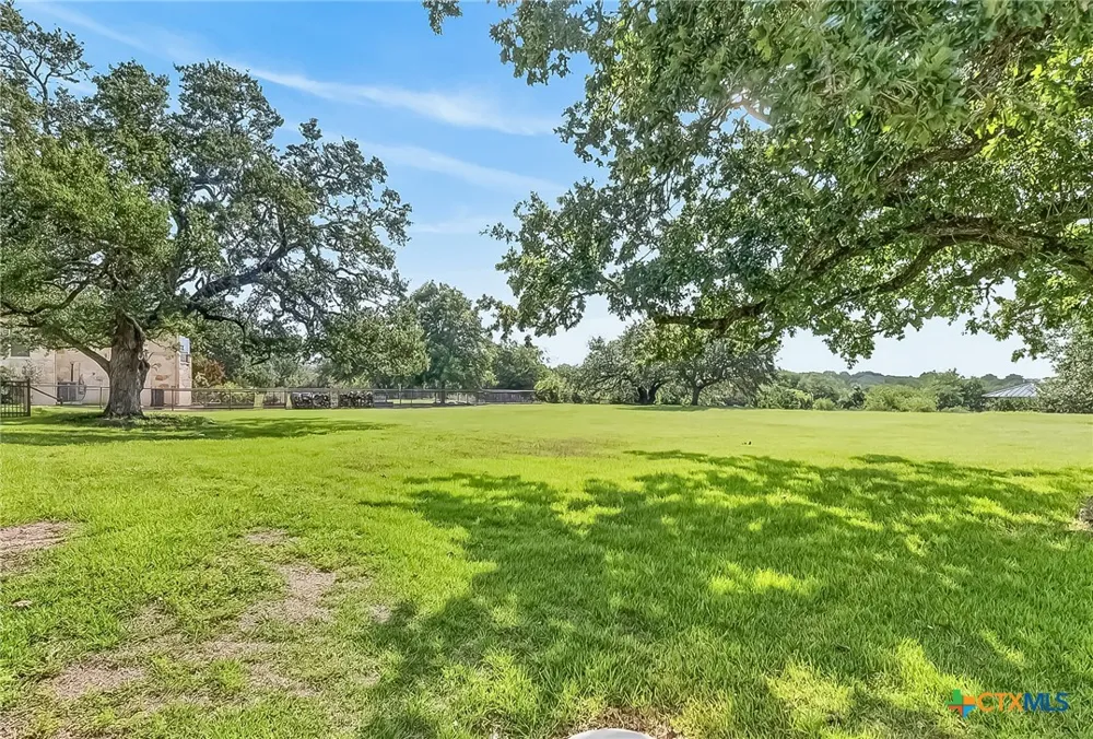 1424 Decanter Drive New Braunfels, TX 78132