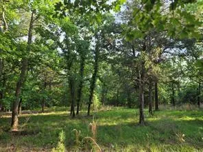 Timber Ridge Larue, TX 75770