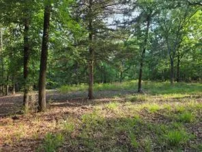 Timber Ridge Larue, TX 75770
