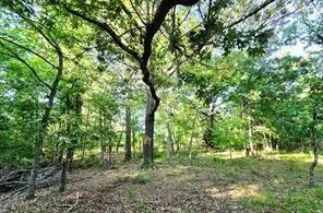 Timber Ridge Larue, TX 75770