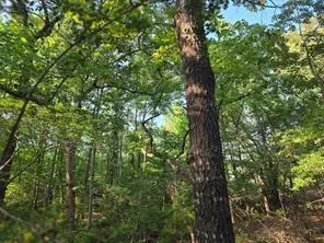 Timber Ridge Larue, TX 75770