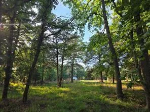 Timber Ridge Larue, TX 75770