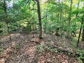 Timber Ridge Larue, TX 75770