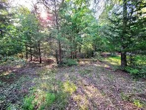 Timber Ridge Larue, TX 75770