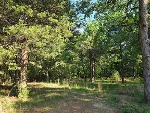 Timber Ridge Larue, TX 75770