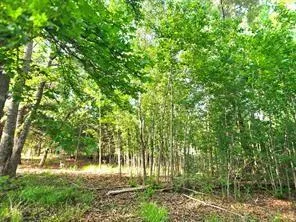 Timber Ridge Larue, TX 75770