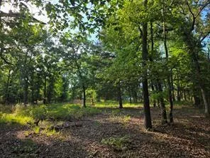 Timber Ridge Larue, TX 75770