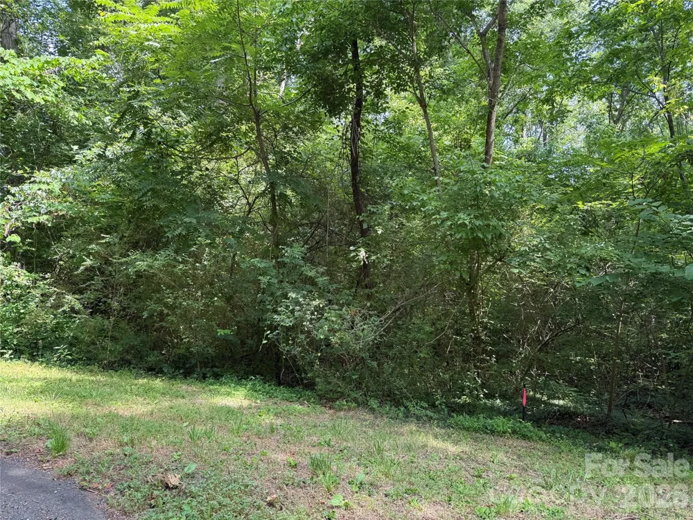 9562 Regent Drive Davidson, NC 28036