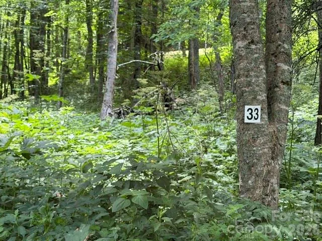 Lot 33 Toi Trail #33 Maggie Valley, NC 28751