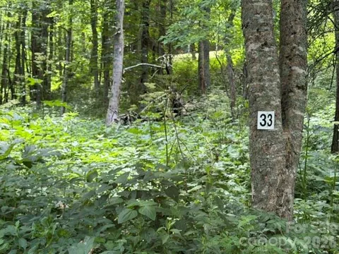Lot 33 Toi Trail #33