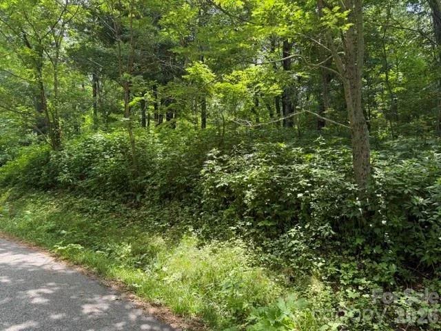 Lot 33 Toi Trail #33 Maggie Valley, NC 28751
