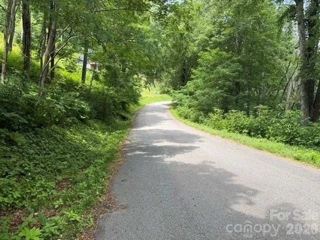 Lot 33 Toi Trail #33 Maggie Valley, NC 28751