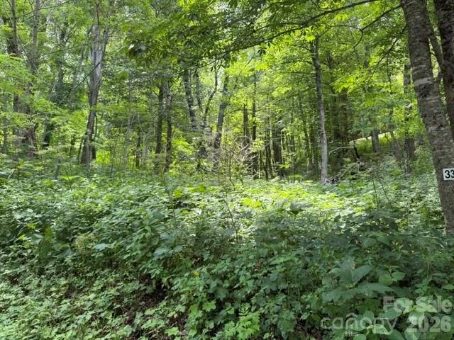 Lot 33 Toi Trail #33 Maggie Valley, NC 28751